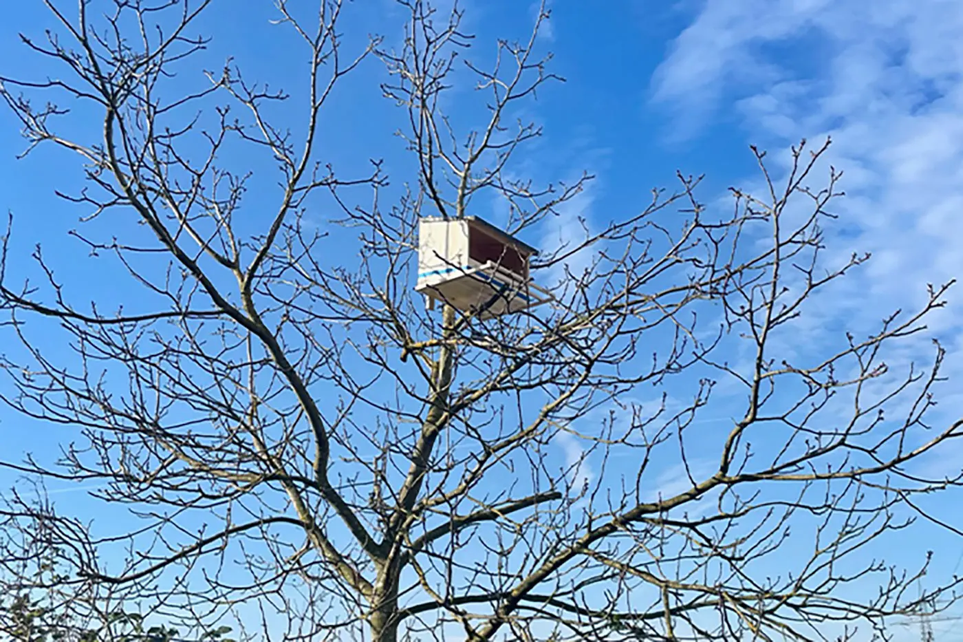 Ein hölzernes Vogelhaus steht zwischen den kahlen Ästen eines Baumes unter einem strahlend blauen Himmel mit vereinzelten Wolken.