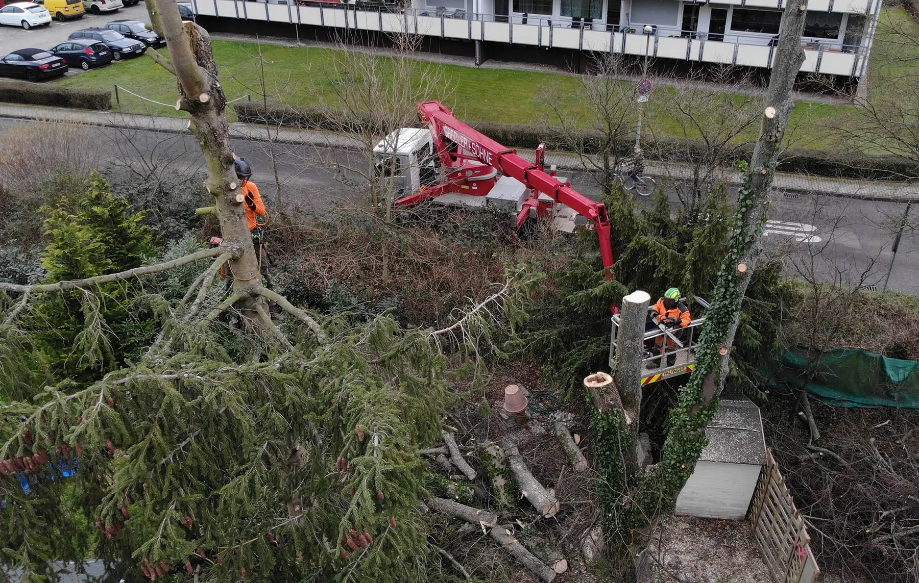 Luftaufnahme von Arbeitern, die Baumpflege leisten, und Maschinen, die hohe Bäume in der Nähe einer Straße und einer Grasfläche fällen.