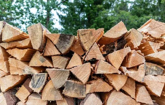 Stapel gespaltener Brennholzstämme im Freien mit grünen Bäumen im unscharfen Hintergrund.