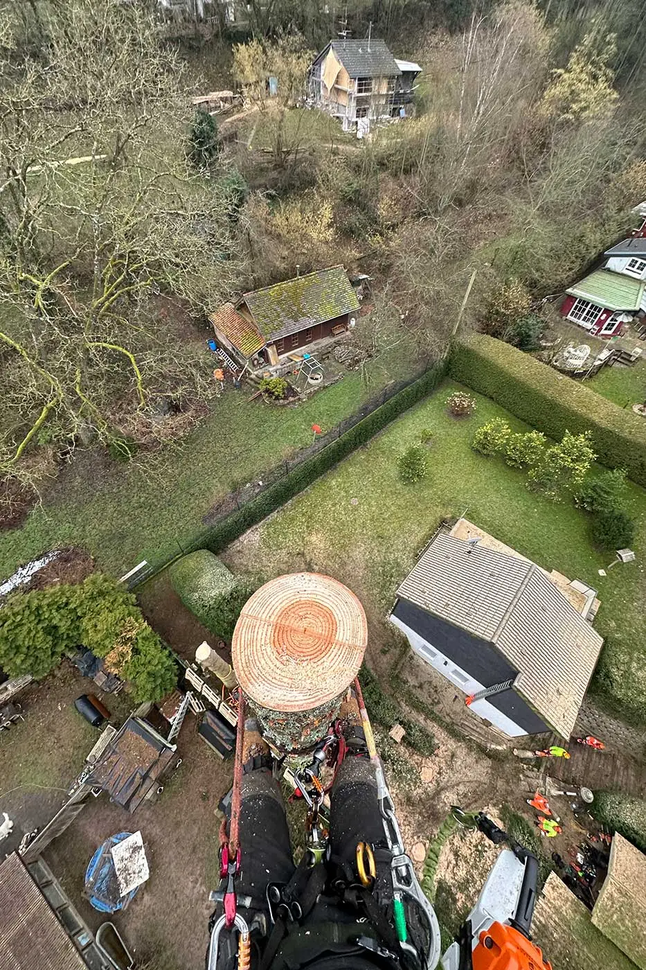 Ein Blick von hoch oben auf einem Baum zeigt eine Person in Kletterausrüstung, die auf einen frisch gefällten Baumstumpf hinunterblickt – ein Beweis für die fachmännische Arbeit der Baumpflege Karlsdorf-Neuthard –, während auf dem Boden darunter Häuser, Gärten und Menschen zu sehen sind.