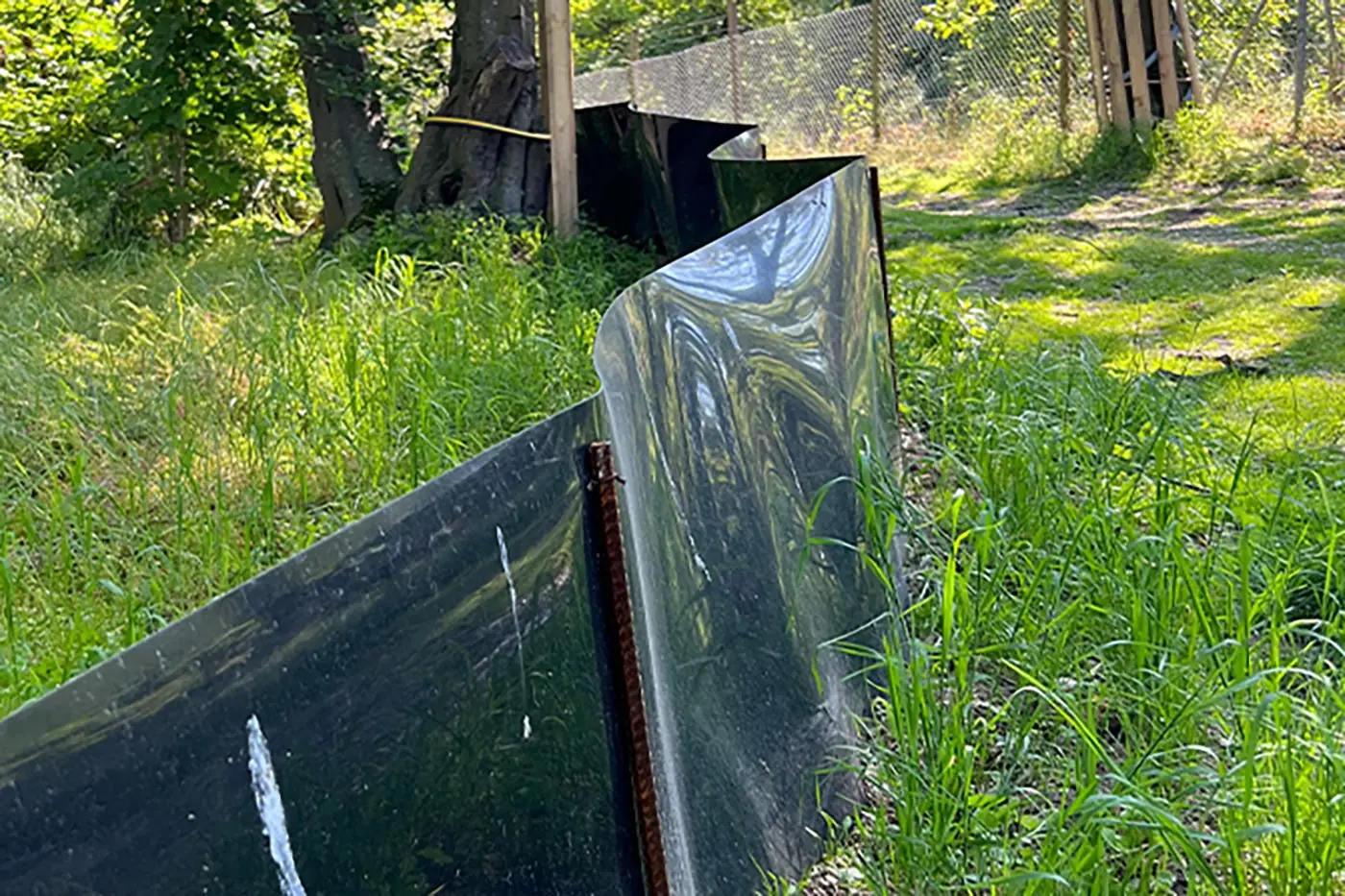 Eine schwarze Plastikbarriere verläuft durch hohes Gras in der Nähe von Bäumen und einem Zaun und teilt einen sonnenbeschienenen, grünen Bereich.