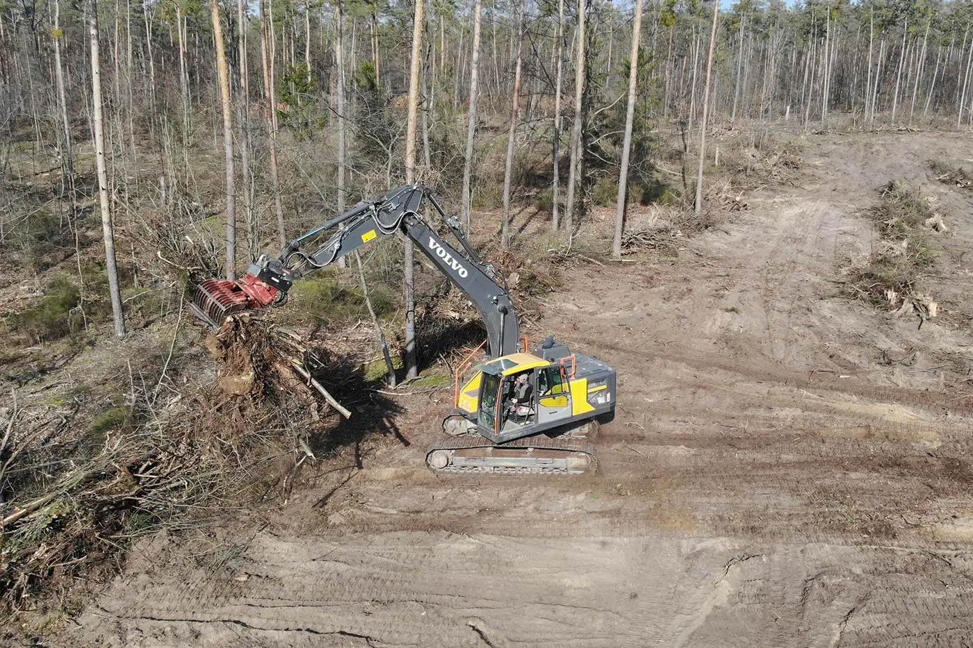 Ein Volvo-Bagger entfernt für die Baumpflege der Baumpflege Karlsdorf-Neuthard einen Baumstumpf in einem gerodeten Waldstück.