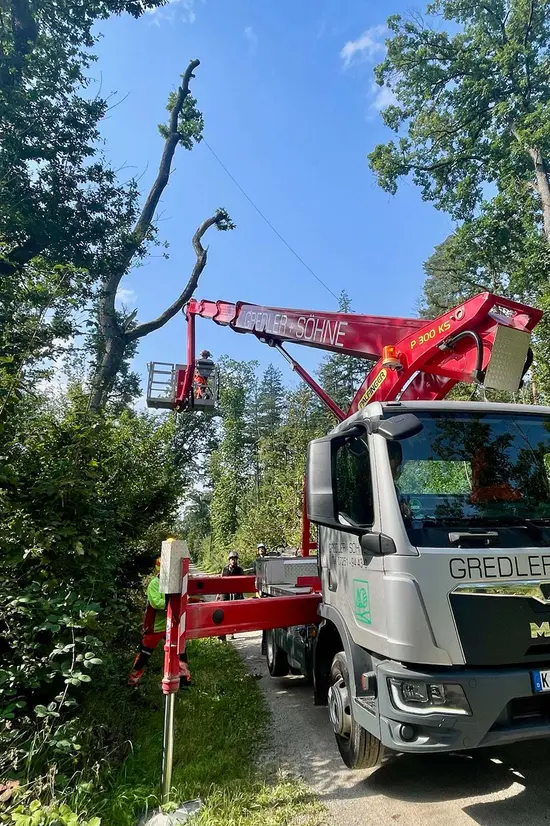 An einem sonnigen Tag schneidet ein Arbeiter auf einer Hubarbeitsbühne hohe Äste neben einer Straße ab.