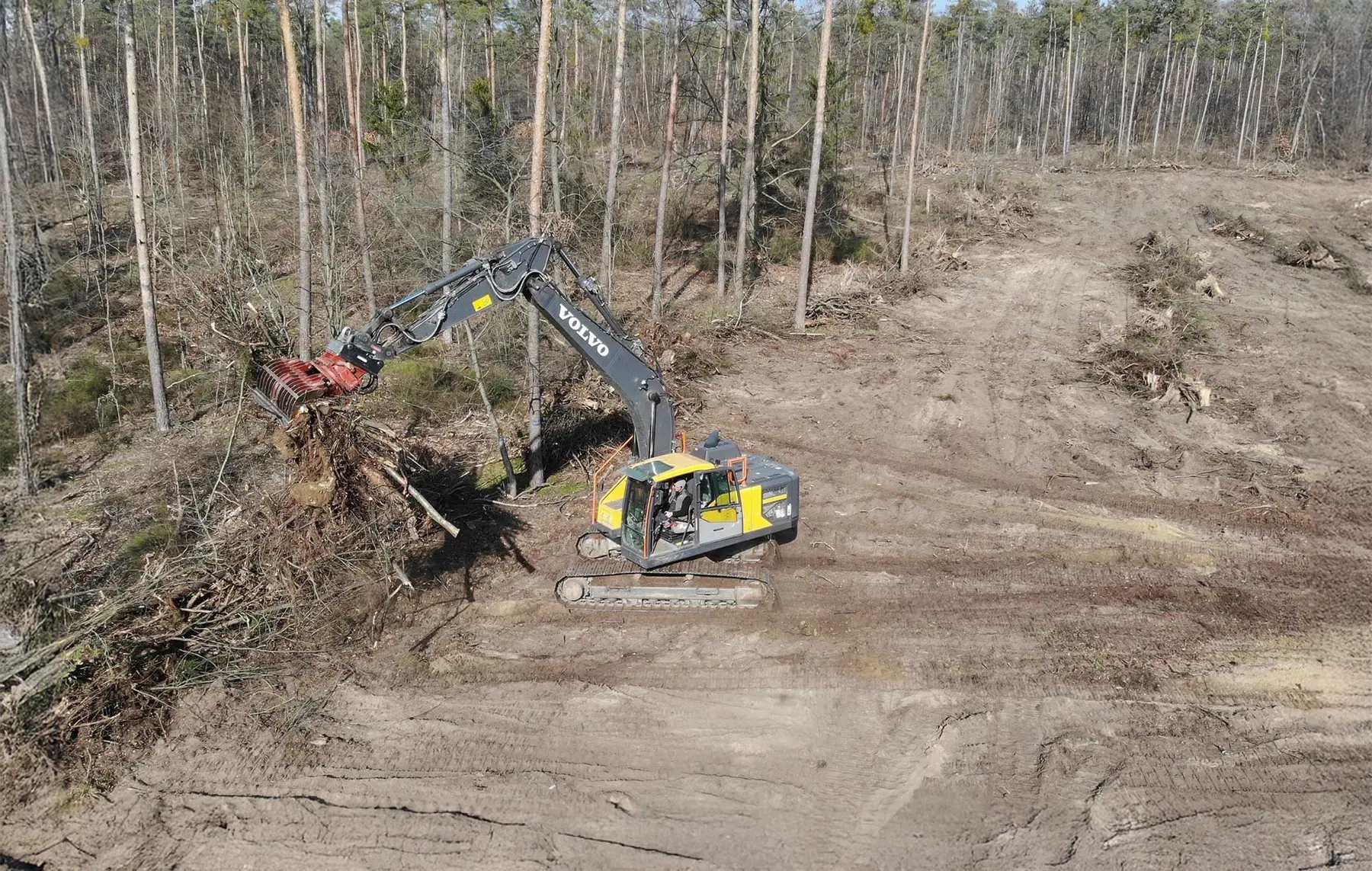 Bagger räumt Baumstümpfe während der Baufeldräumung Karlsdorf-Neuthard in einem abgeholzten, spärlich bewaldeten Gebiet weg.