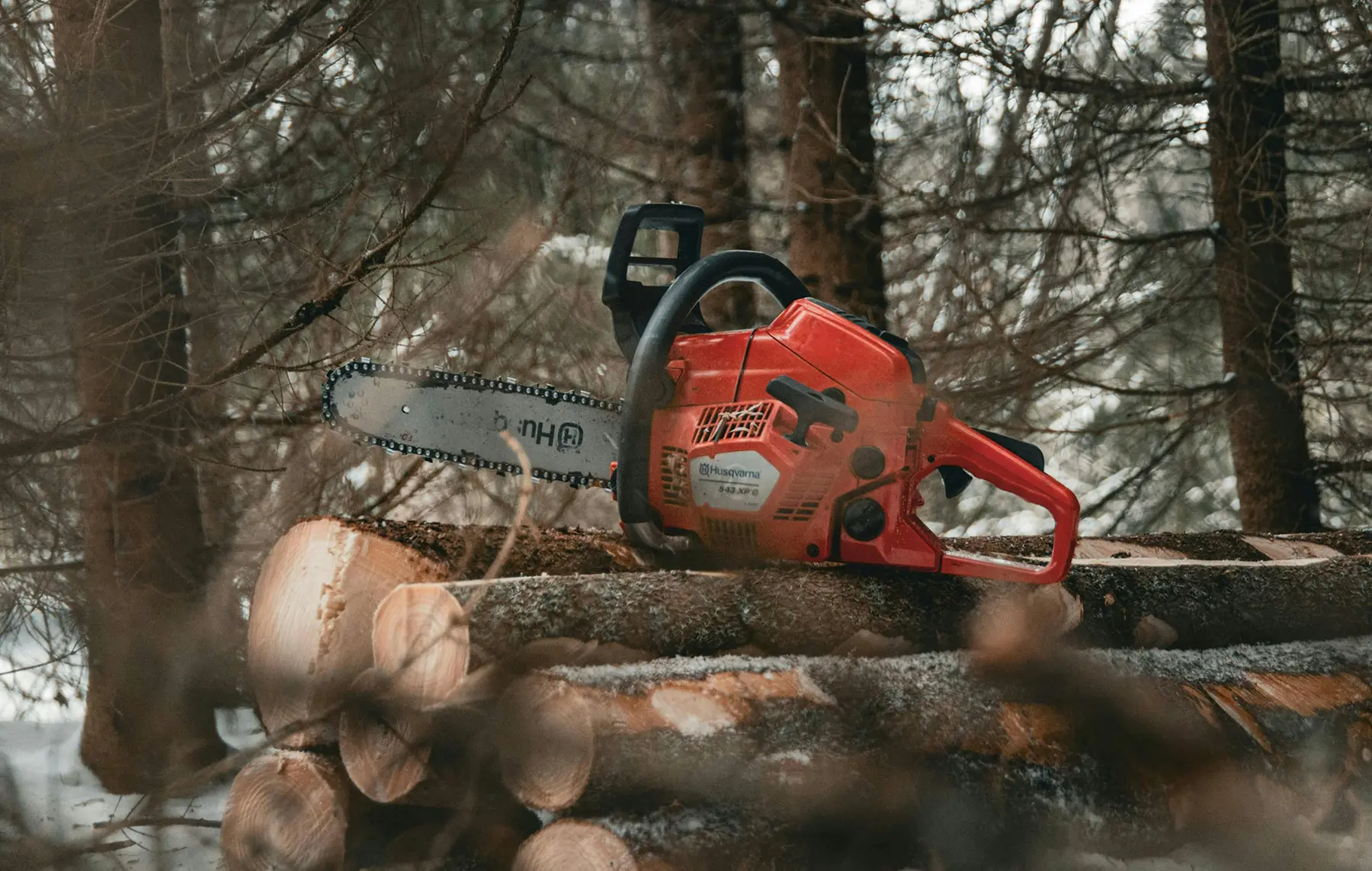 Eine rote Kettensäge liegt auf gestapelten Baumstämmen in einem Wald mit hohen Bäumen im Hintergrund.