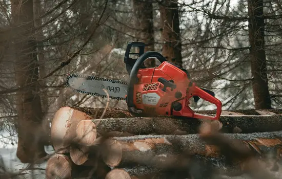 Eine rote Kettensäge liegt auf gestapelten Baumstämmen in einem Wald mit hohen Bäumen im Hintergrund.