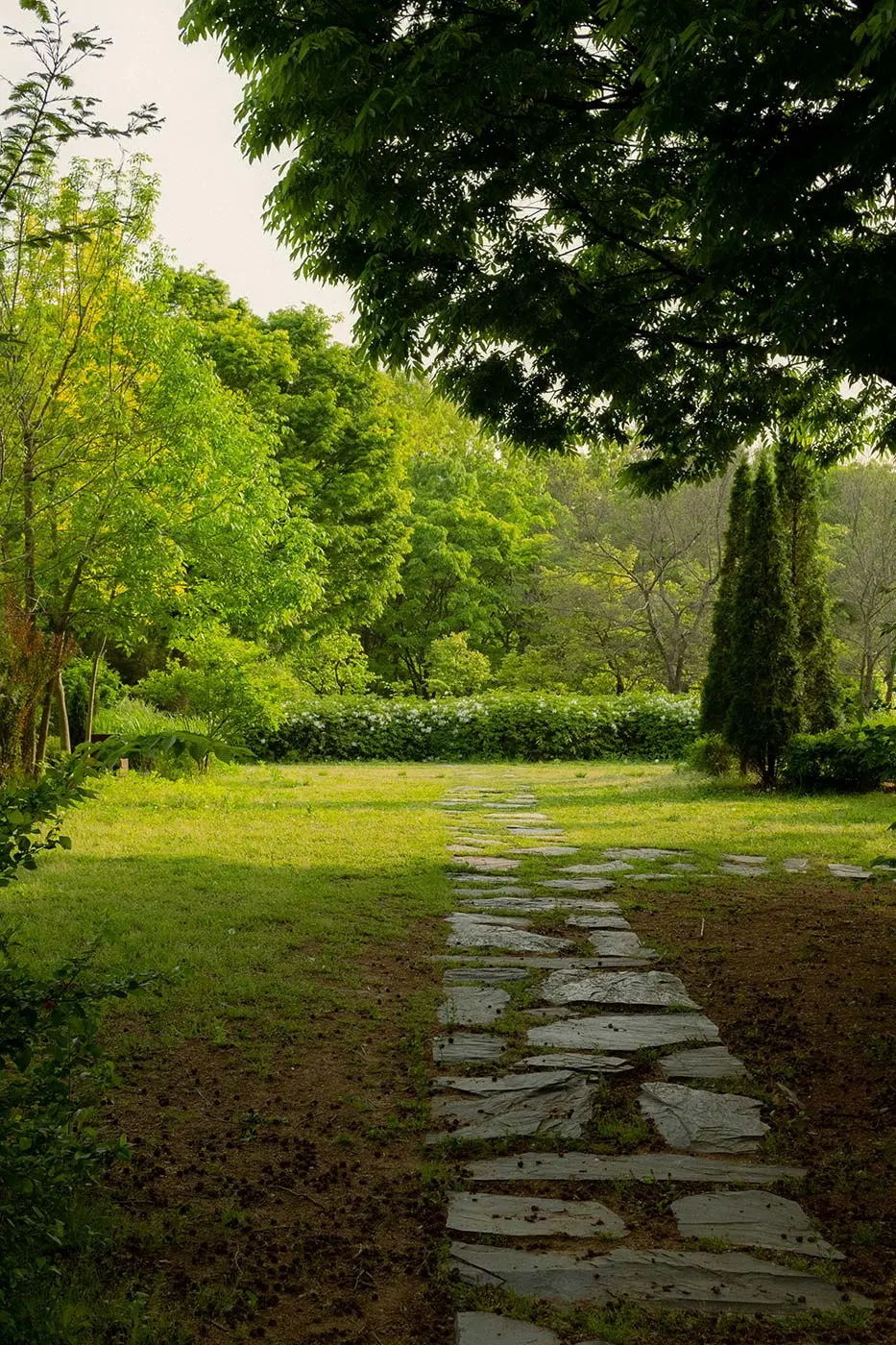 Ein Steinweg schlängelt sich durch eine Rasenfläche, umgeben von gesunden Bäumen und üppigen Büschen. Das Sonnenlicht fällt sanft durch das Laub und spiegelt die fachmännische Baum- und Grünpflege in dieser friedlichen Gartenumgebung wider.