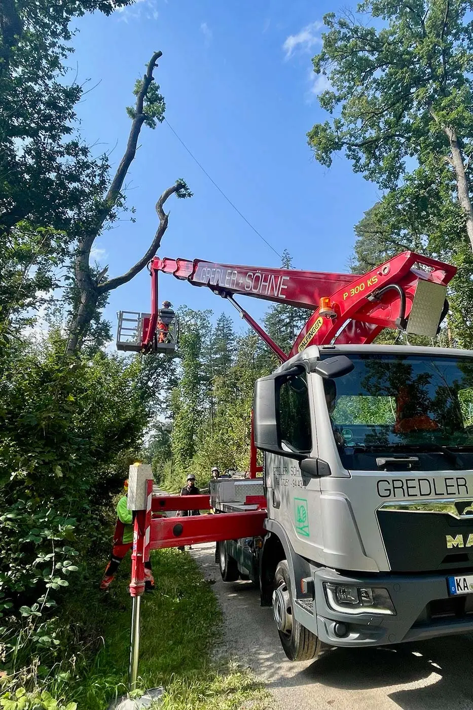 Ein LKW mit einem roten Hebekran unterstützt die Baum- und Grünpflege und erreicht an einem sonnigen Tag einen Arbeiter, der für gesunde Bäume sorgt.