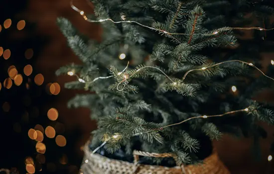 Eine Nahaufnahme eines Weihnachtsbaums mit Lichterketten und warmen Bokeh-Lichtern im unscharfen Hintergrund.