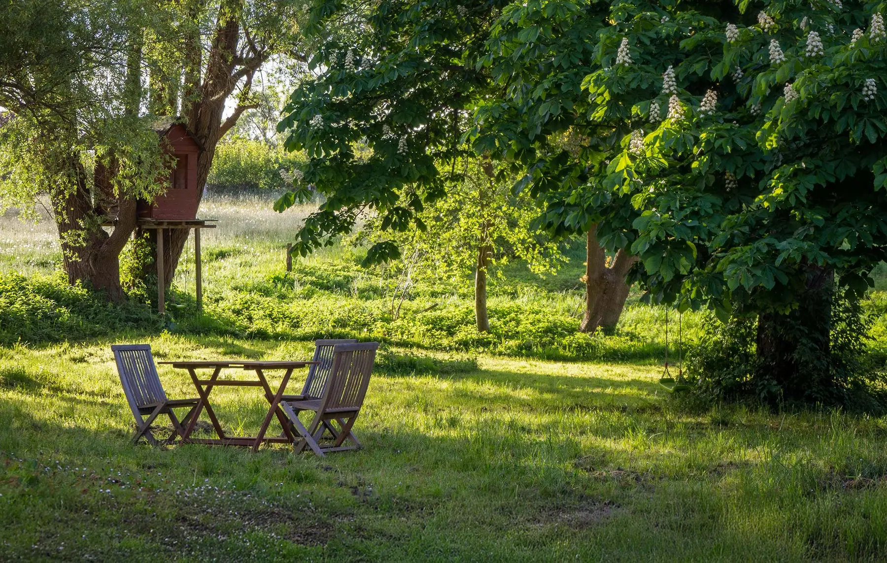 Holztisch und -stühle stehen auf Gras in einem sonnigen, grünen Garten, umgeben von Bäumen und gesprenkeltem Sonnenlicht.