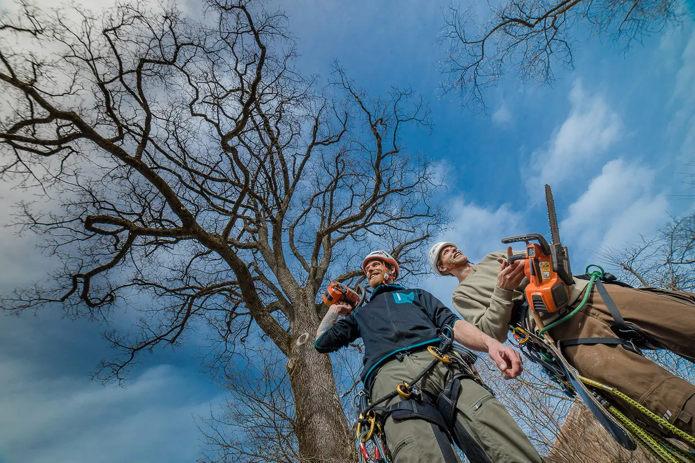 Unter einem großen Baum stehen zwei Baumpfleger mit Kettensägen – Experten der Baumpflege Karlsdorf-Neuthard.
