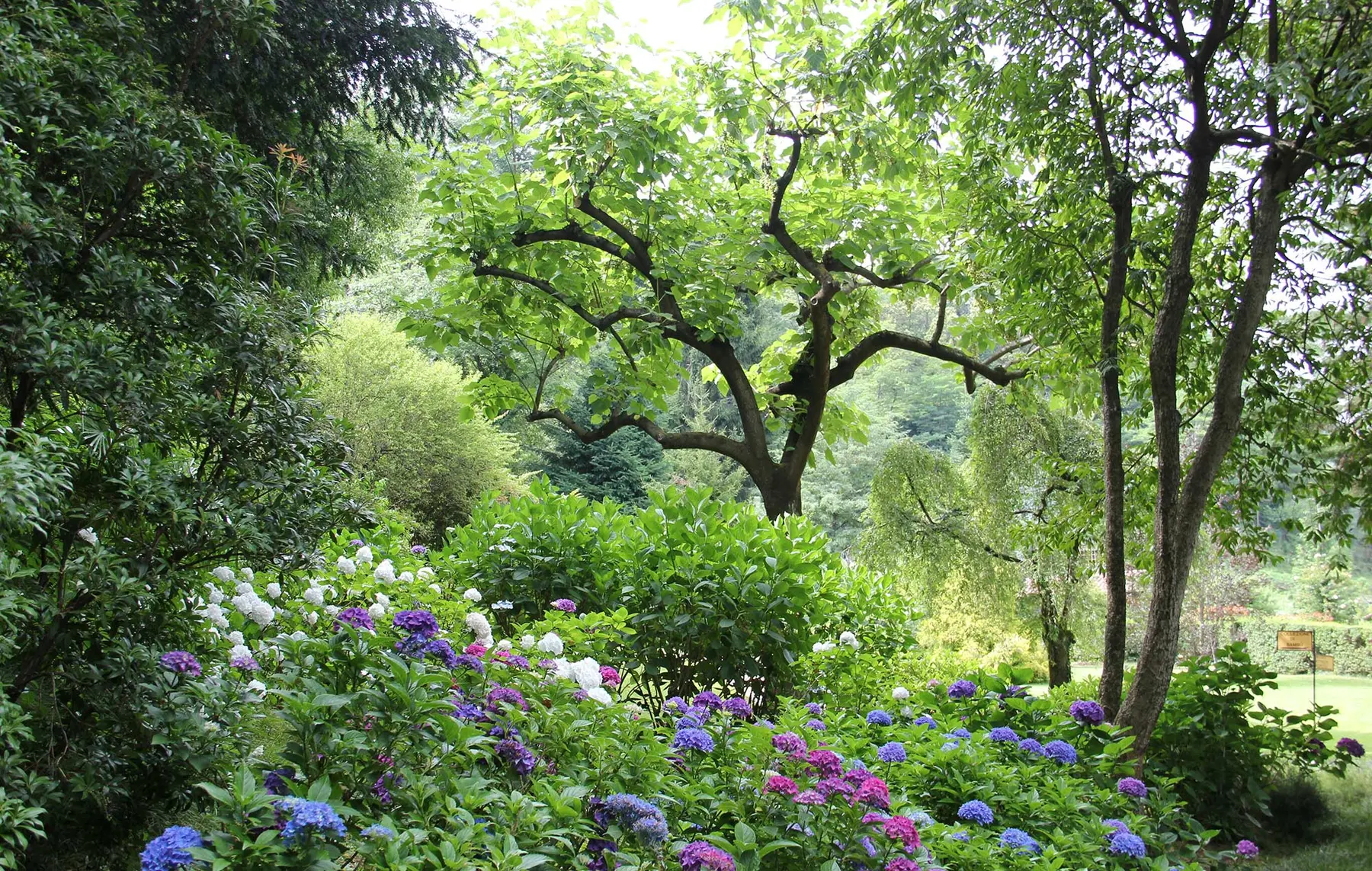 Üppiger Garten mit leuchtenden Blumen unter belaubten Bäumen an einem hellen Tag, perfekt für die Baumpflege in Baden-Württemberg.